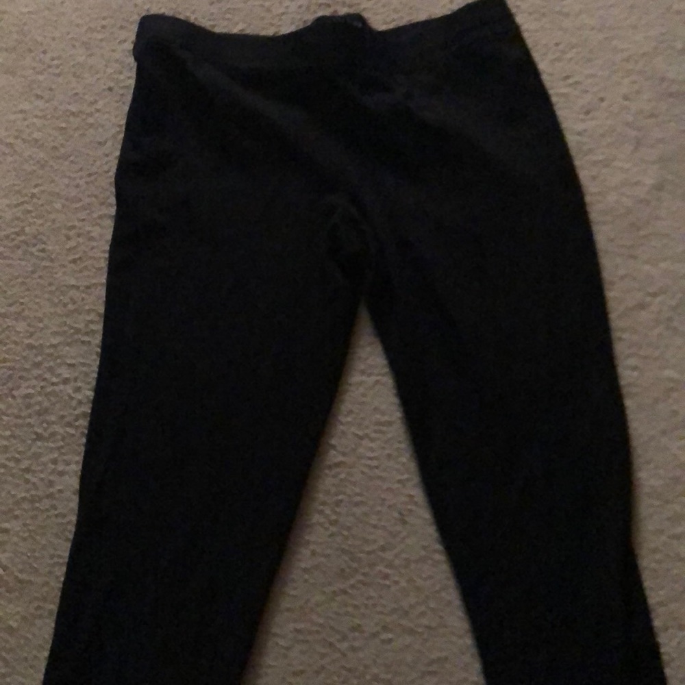 Express Black Pant